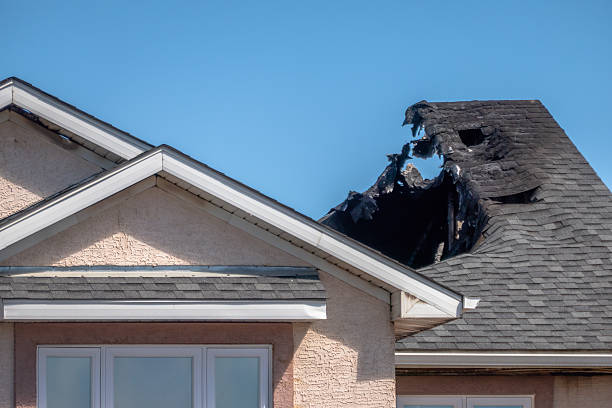 Top rated local Fire Damage Removal specialists in Star Prairie, WI